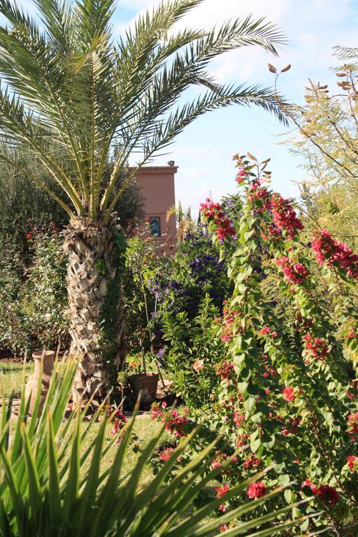 Terra Mia Marrakech Bed & Breakfast Ouled Jelal Dış mekan fotoğraf