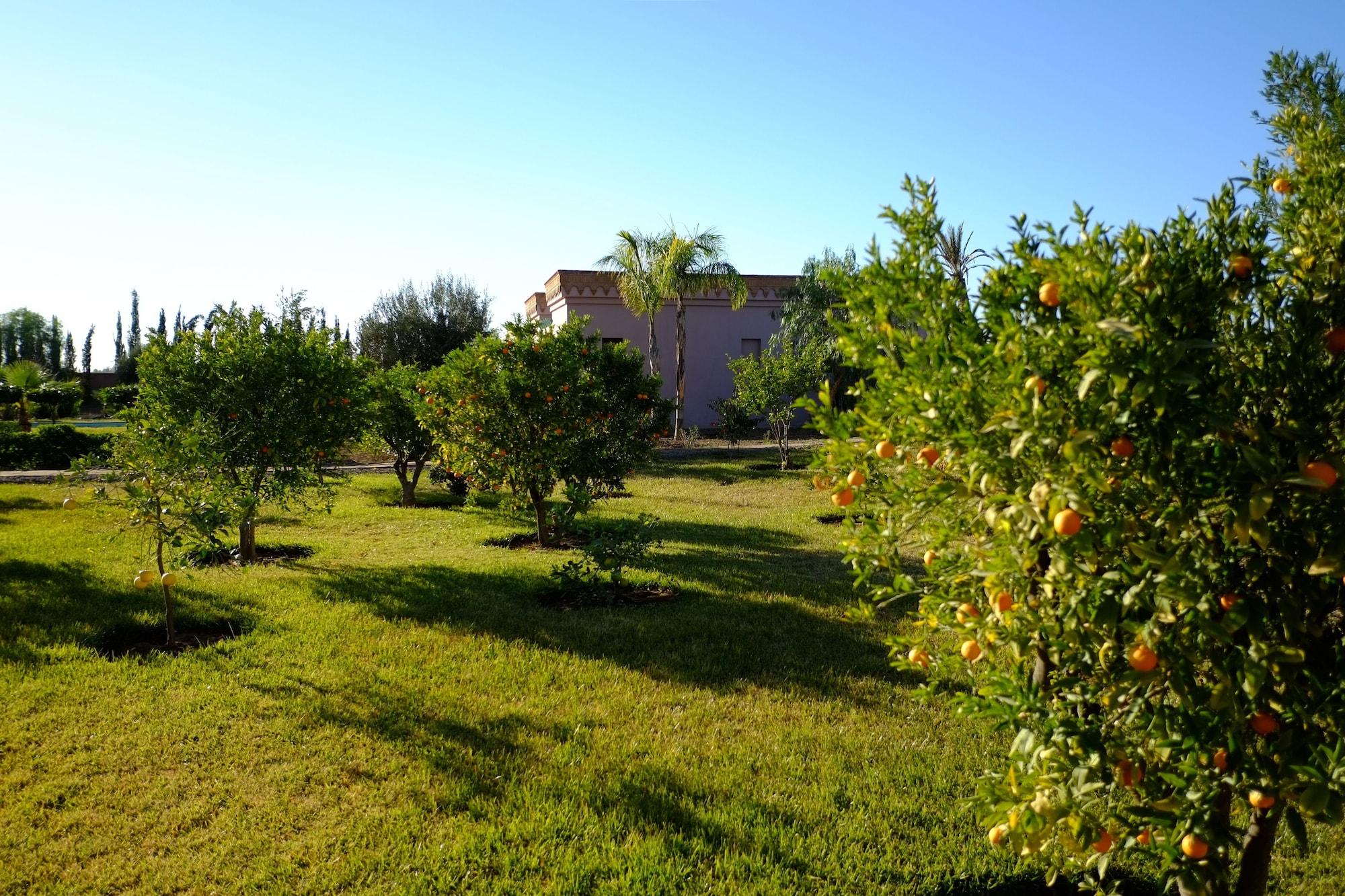 Terra Mia Marrakech Bed & Breakfast Ouled Jelal Dış mekan fotoğraf