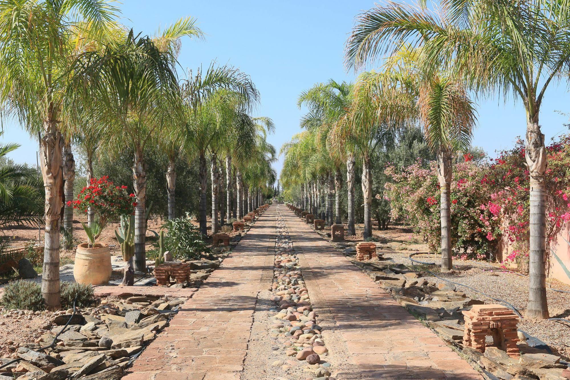 Terra Mia Marrakech Bed & Breakfast Ouled Jelal Dış mekan fotoğraf