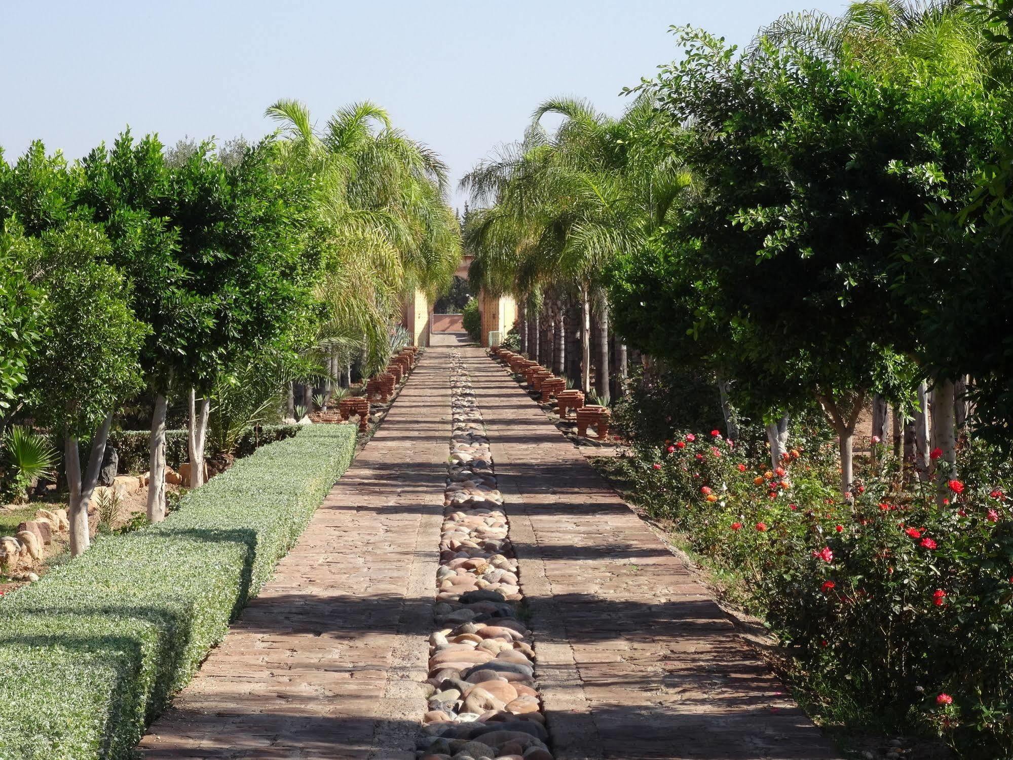 Terra Mia Marrakech Bed & Breakfast Ouled Jelal Dış mekan fotoğraf